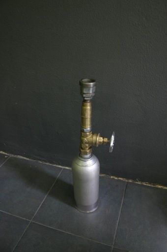 3802695.jpg